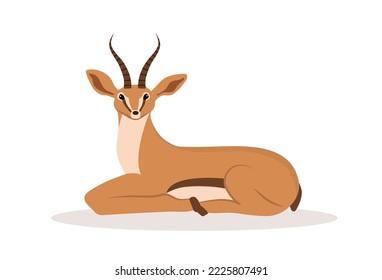 Cute african antelope. Gazelle with horns on white background. Mammal animal. Vector illustration in flat cartoon style.