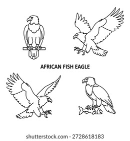 Cute African Fish Eagle Animal Vector Illustrations