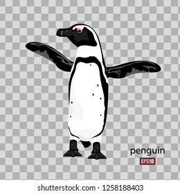 Cute African Penguin On Transparent Background, Wildlife, Bird. Flat Design. Vector Illustration. EPS10