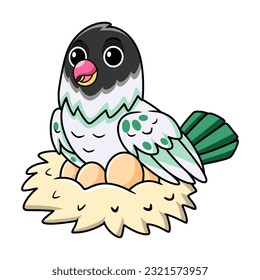 Cute agapornis malta lovebird cartoon with eggs in the nest