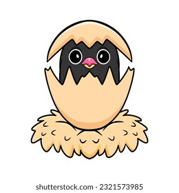 Cute agapornis malta lovebird cartoon inside from egg