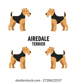 Süße Airedale Terrier Tier Vektorgrafik