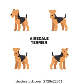 Ilustrações de vetor animal bonito Airedale Terrier