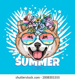 Cute akita inu dog head in sunglasses. Summer is coming illustration. Stylish image for printing on any surface	