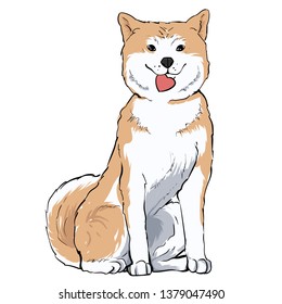 Cute akita inu dog holding heart in mouth, giving love and friendship, pet friend, vector