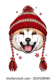 Cute akita inu dog in a winter hat. Stylish image for printing on any surface