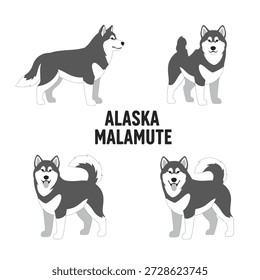 Ilustração Vetor Animal Malamute do Alasca Bonito