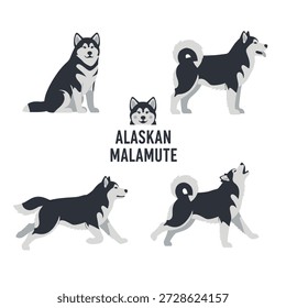 Cute Alaskan Malamute Animal Vector Illustrations
