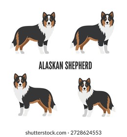 Linda Ilustración vectorial de Pastor de Alaska
