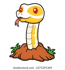 Cute albino ball python snake cartoon out from hole