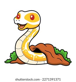 Cute albino ball python snake cartoon out from hole