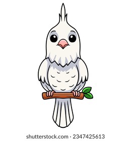 Cute albino cockatiel bird cartoon on tree branch