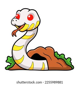 Cute albino mangrove snake cartoon out from hole