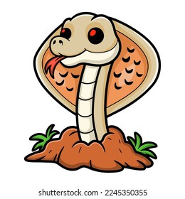Cute albino monocled cobra cartoon out from hole