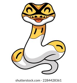 Cute albino pied ball python cartoon