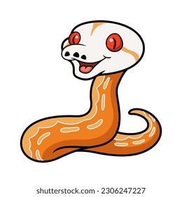 Cute albino sunfire tiger het genetic stripe reticulated python
