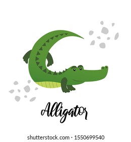 Cute alligator character with lettering isolated on white background. Vector illustration of crocodile australian animal, wild life and fauna.
