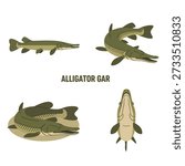 Cute Alligator Gar Animal Vector Illustration