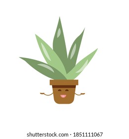 
cute aloe vera, cartoon succulent smiling, arms outstretched, vector illustration in flat style on white isolated background