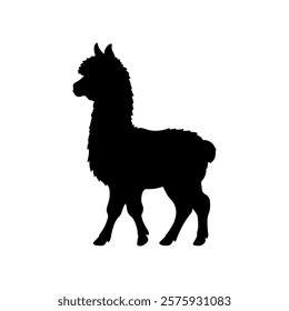 Cute alpaca baby silhouette vector illustration design on white background.