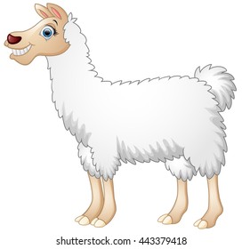 Cute alpaca cartoon