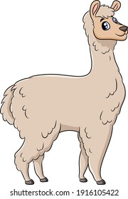 Caricatura de Cute Alpaca , animal de granja 