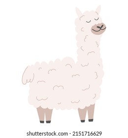 Cute alpaca in cartoon hand drawn style. Vector illustration of lama animal isolated on white background