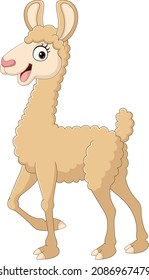 Cute alpaca cartoon on white background