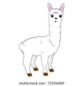 Cute alpaca cartoon vector
