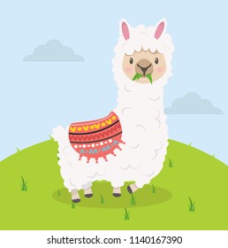 Cute alpaca eat grass cartoon