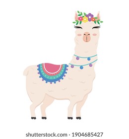 cute alpaca exotic animal with chair and flowers in head and necklaces vector illustration design