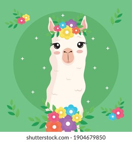 cute alpaca exotic animal with flowers decoration in head and neck vector illustration design