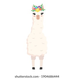 cute alpaca exotic animal with flowers decoration in head vector illustration design