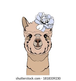 Cute alpaca with flower. Alpaca (head). Vector illustration.