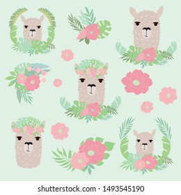 cute alpaca with flower set vector design