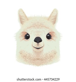 Cute alpaca illustration