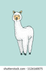 Cute Alpaca Llamas or wild guanaco on the background of Funny smiling animals in Peru for card poster invitation t-shirt. Hand drawn Elements. Engraved sketch.