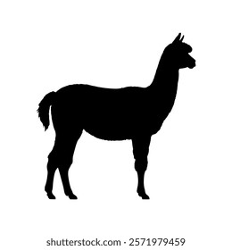 Cute alpaca silhouette vector illustration design on white background.