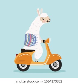 Cute alpaca with yellow scooter vector