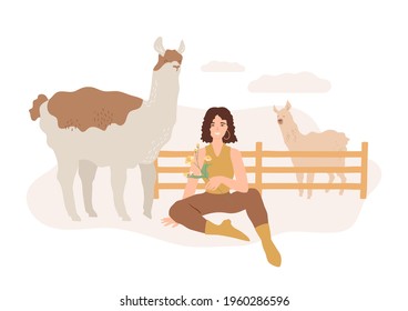 Cute alpacas on the farm. Beautiful happy woman with lamas in corral. Smiling female farmer sitting on the ground on ranch with flowers branch in her hand. Friendly animal.