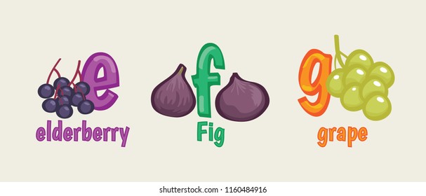 cute alphabet efg vector design