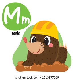 cute alphabet M mole illustration