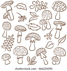 Cute amanita with leafs and berries vector contour collection. Poisonus mushrooms and plants isolated on white. 