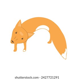 Cute and amazed baby fox. Adorable fox cartoon vector illustration isolated on white background.