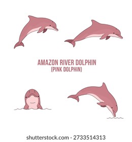 Cute Amazon River Dolphin (Pink Dolphin) Animal Vector Illustration
