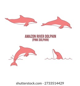 Cute Amazon River Dolphin (Pink Dolphin) Animal Vector Illustrations