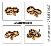 Cute Amazon Tree Boa Animal Vector Illustration