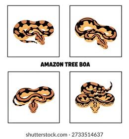 Cute Amazon Tree Boa Animal Vector Illustration
