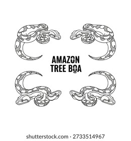 Cute Amazon Tree Boa Animal Vector Illustrations