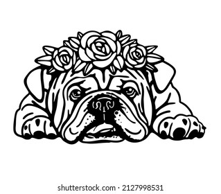 Cute American bulldog with flower crown
